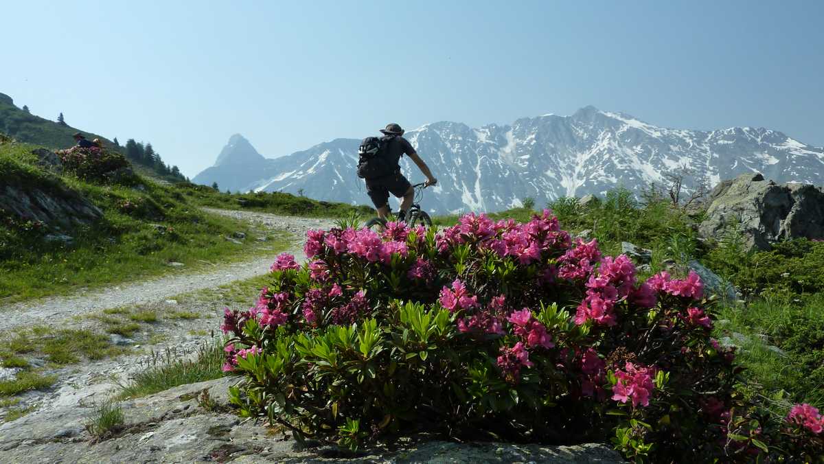 #4 Rhodo : Tchouf met la tete dans le Dome des Pichères Rhodo : Tchouf met la tete dans le Dome des Pichères