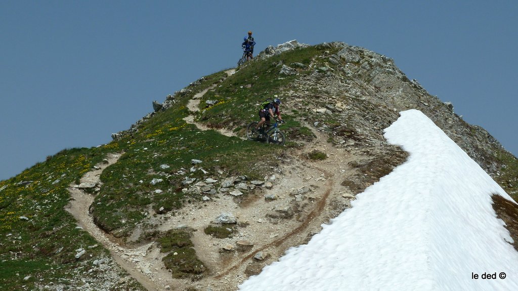 #11 Aiguille Grive : Toz en exercice. Validé! Aiguille Grive : Toz en exercice. Validé!