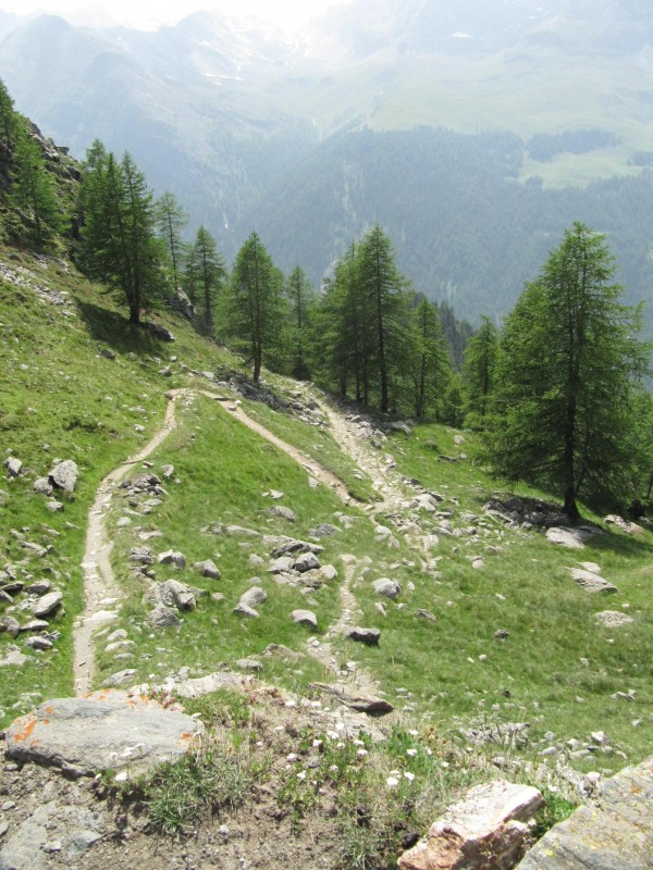 #9 juste avant la forêt : toujours aussi plaisant . juste avant la forêt : toujours aussi plaisant .