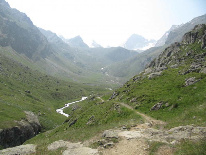 #3 le sentier continue : dans l le sentier continue : dans l'alpage .