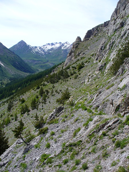 #38 Chemin du Roy : Single Tranquille Chemin du Roy : Single Tranquille