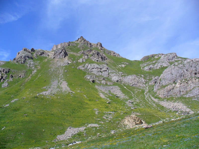 Alpe du Lauzet : Pause fleurie