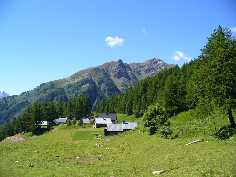 Piste Montée : La Plagne