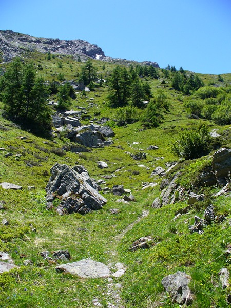 Sentier Descente : Le single ludique à souhait ...