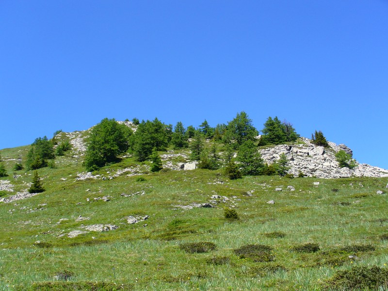 Piste Montée : Dernier espace vert avant le monde minéral