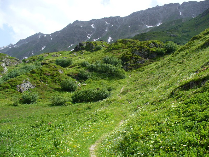 Sentier Descente : Paysages Magnifiques ...