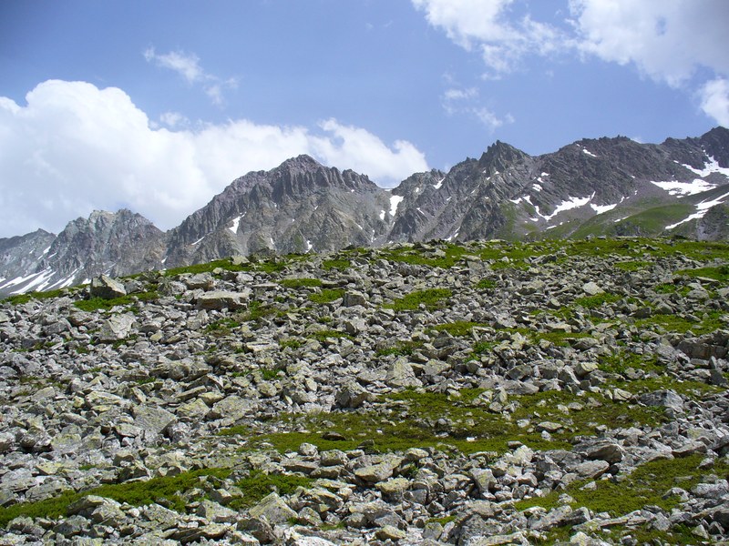 Sentier Montée : ... toujours aussi beaux ...