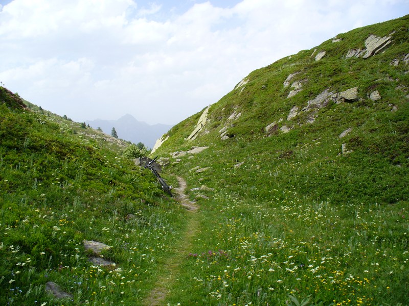 Sentier Descente : ... dans cette Excellente Descente :)