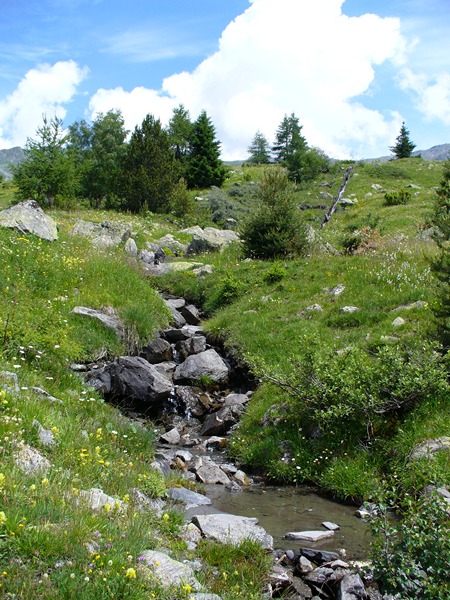 #7 Sentier Montée : Du bonheur ... Sentier Montée : Du bonheur ...