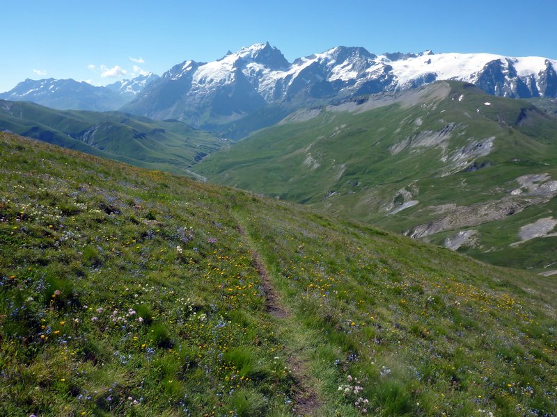 #14 Pic du Mas de la Grave : La Meije et des fleurs... Pic du Mas de la Grave : La Meije et des fleurs...