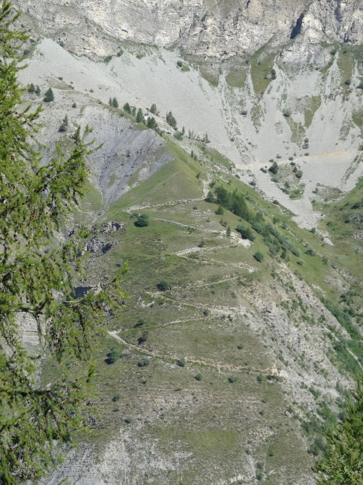 #5 Piste de Chabanals : Ouverte il y a quelques années, elle donne accès à l Piste de Chabanals : Ouverte il y a quelques années, elle donne accès à l'alpage du même nom.