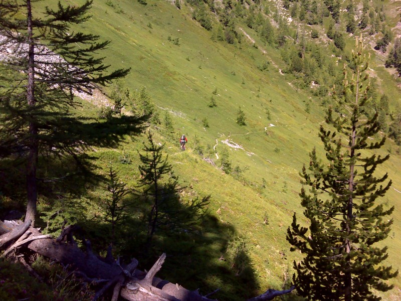 #10 Col Fromage : Le beau single en direction du col de Souillet (attention aux traitres petits sapins : petits mais costaud...) Col Fromage : Le beau single en direction du col de Souillet (attention aux traitres petits sapins : petits mais costaud...)
