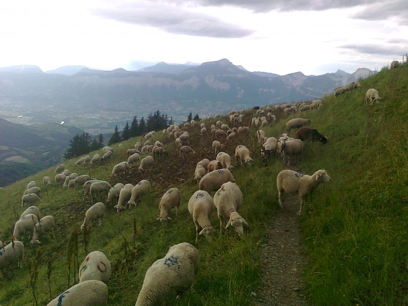 Grand Colon : Le seul passage NR de la descente du Grand Colon