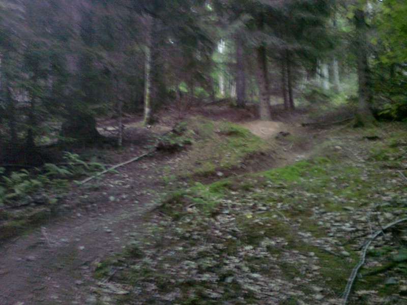 #14 DH de Freydière : On est aux 2Alpes ! DH de Freydière : On est aux 2Alpes !