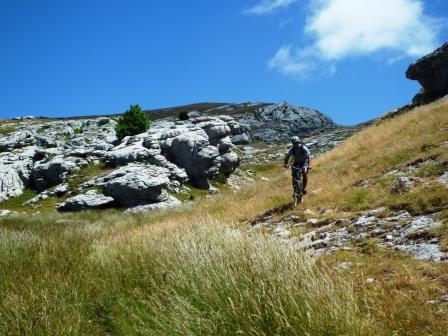 Descente du sommet : beau vallon