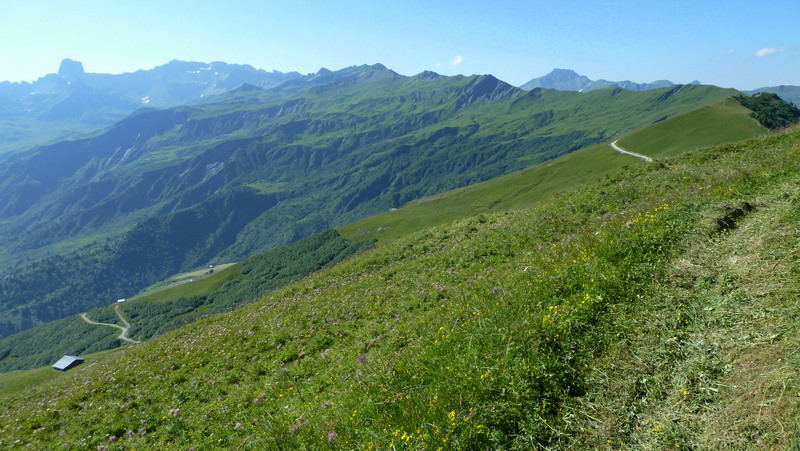 Un coup dans le rétro : Voilà toute cette belle crête et même la Pierra Menta à gauche. On notera l'herbe fraichement coupée... Sont vraiment bien dans le Beaufortin avec les touristes comme moi :-D