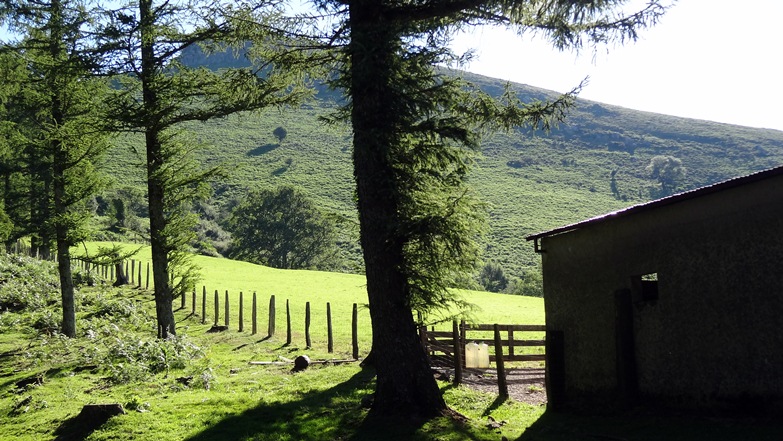 #9 Dans la descente : jolie petite cabane Dans la descente : jolie petite cabane