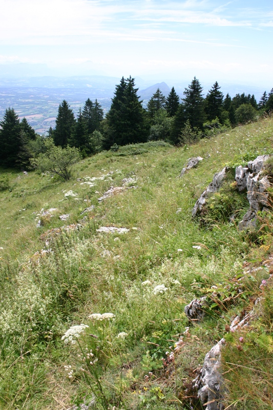 descente1 : La descente démarre là, juste sous les rocher