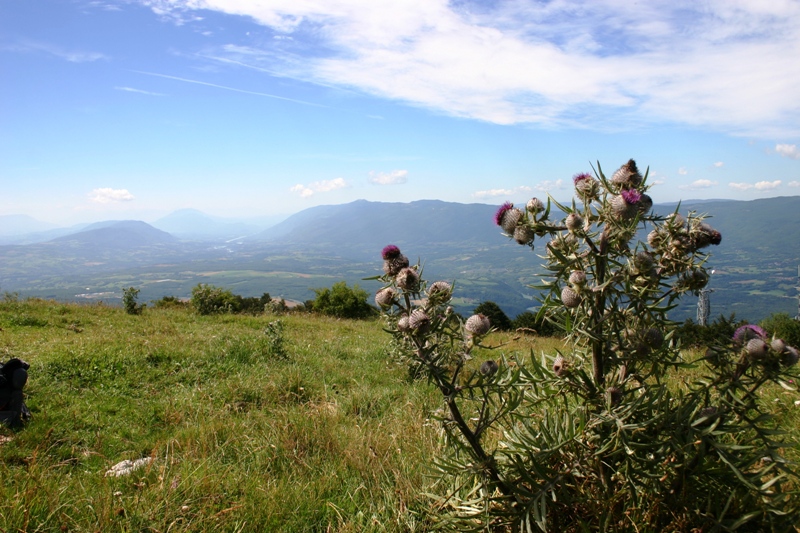 Arrivée sur l'alpage