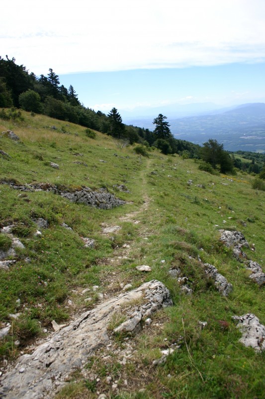 #3 Sorgia : Sentier rejoignant Sorgia d Sorgia : Sentier rejoignant Sorgia d'en haut