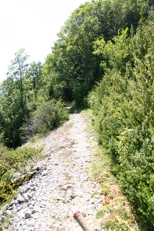 Expo : Un peu d'expo sur le chemin de Fort l'Ecluse !