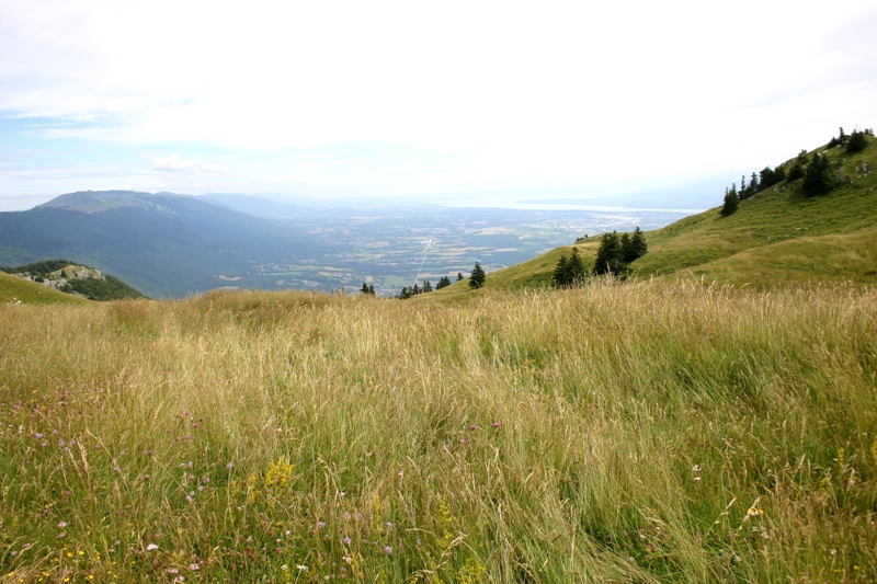 Geneve : Vue sur le lac Léman