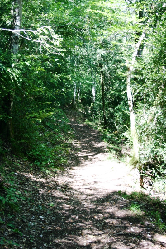 Sentier2 : Sentier menant vers ffort l'ecluse