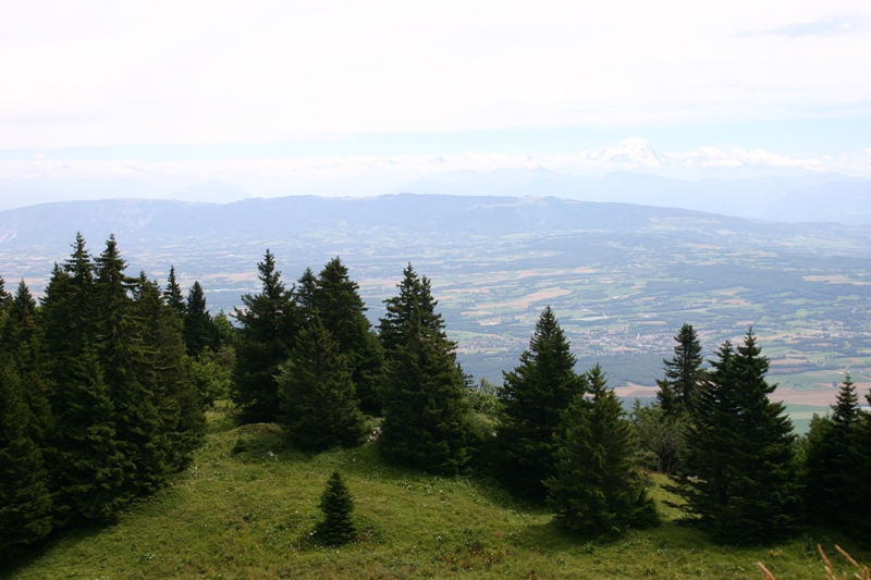 Le mont blanc dans le fond