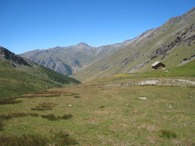 bergerie : Récente bergerie, à mis parcours