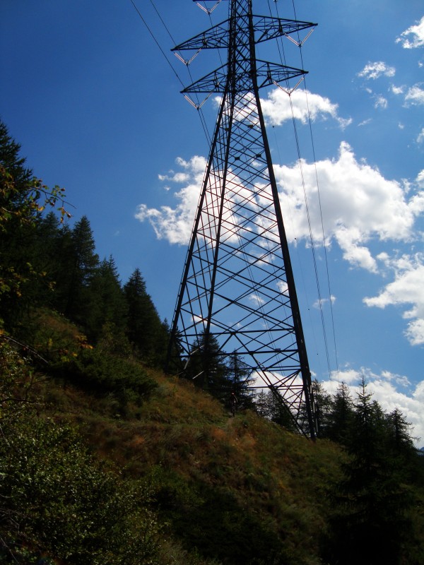 #10 col Garin : espèce endémique: potus electricus gigantus col Garin : espèce endémique: potus electricus gigantus