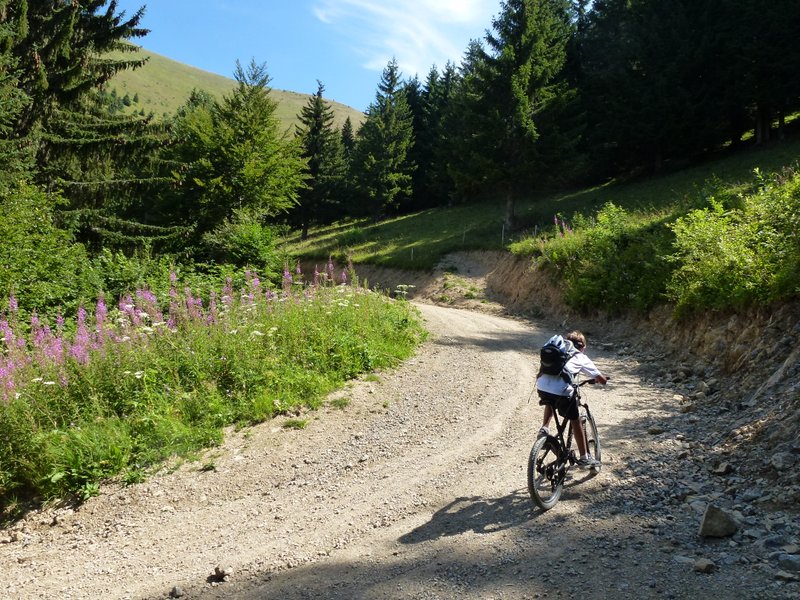 #1 Môle : Piste bien raide mais très lisse Môle : Piste bien raide mais très lisse