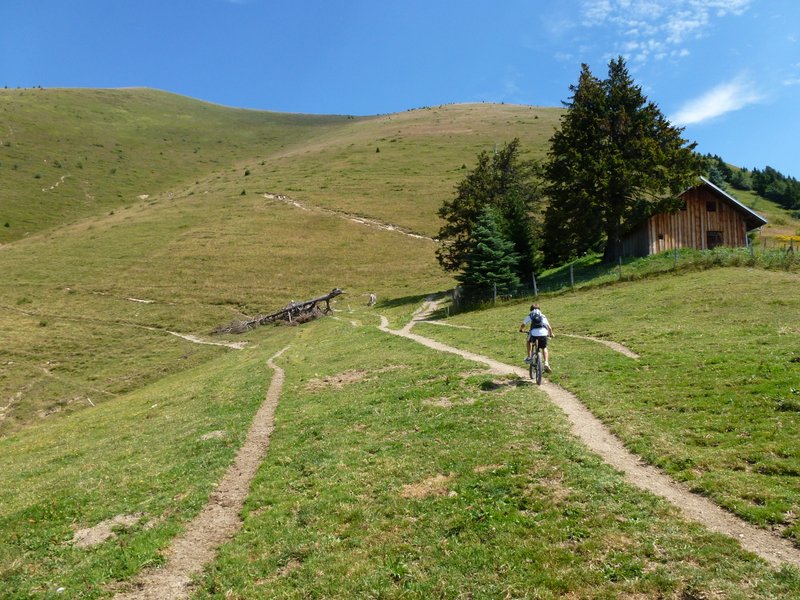 #2 Môle : Montée sur sentier après le Petit Môle Môle : Montée sur sentier après le Petit Môle