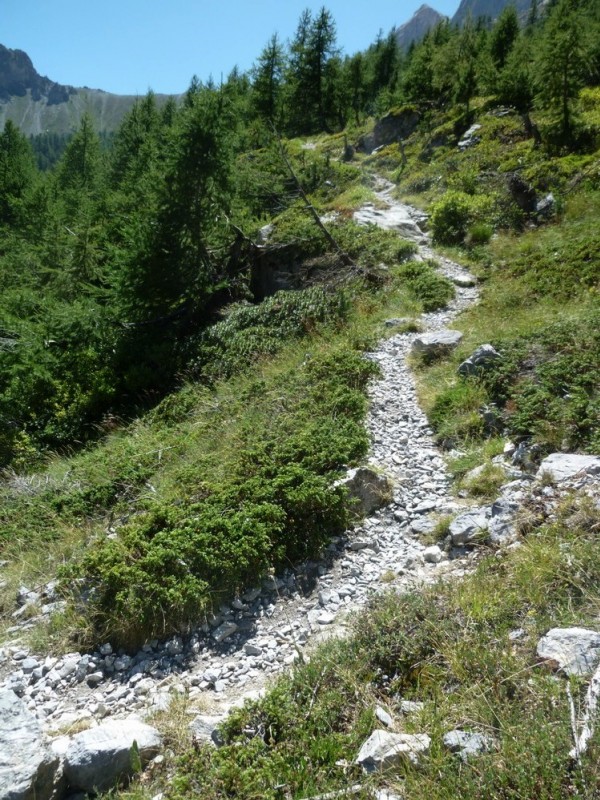 #10 sentier : des cailloux et des gros cailloux :) sentier : des cailloux et des gros cailloux :)