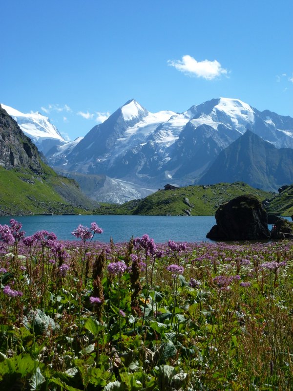 Lac de Louvie : La bergerie de Louvie