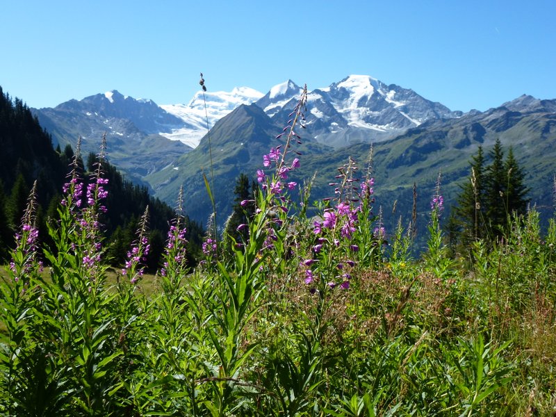 Combins : Depuis les Clérondes