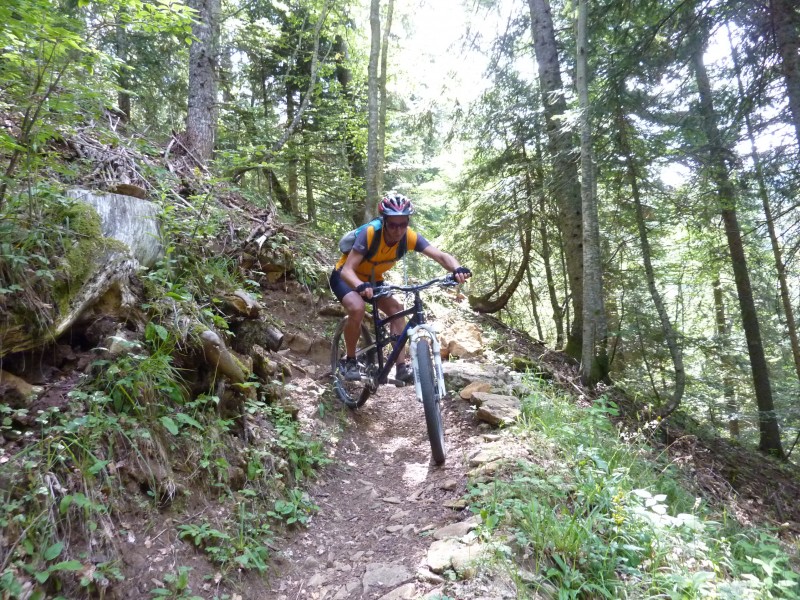 #5 Dans les Pichières : De belles épingles à négocier Dans les Pichières : De belles épingles à négocier