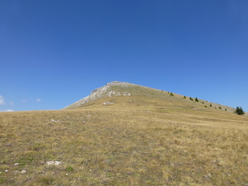 #8 Mt Autcellier : Le sommet est enfin en vue Mt Autcellier : Le sommet est enfin en vue