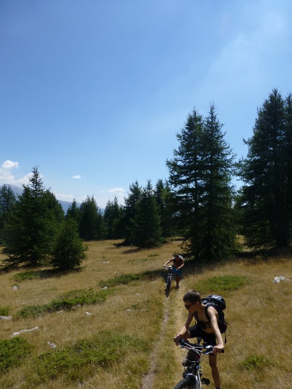 #6 Fin de la forêt : Le cagnard est assommant Fin de la forêt : Le cagnard est assommant