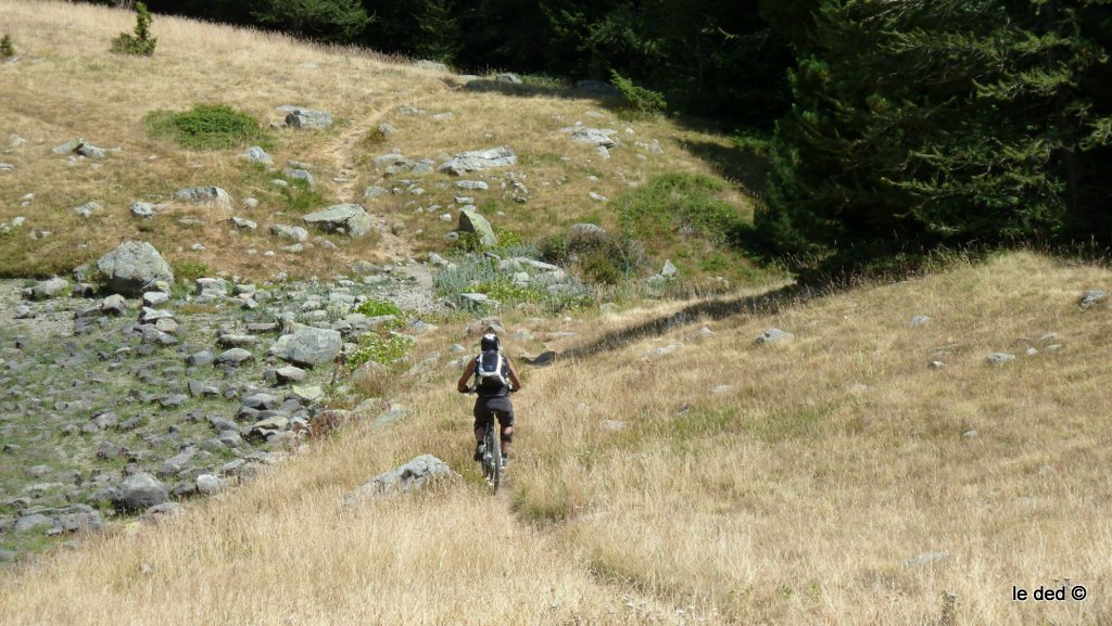 L'entrée de la forêt : Il était dit que le meilleur allait arriver. 
On ne nous a pas trompé :)