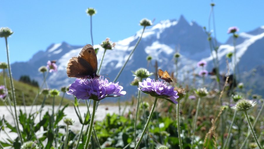 #10 Miracle de la nature : Right time, right place! Miracle de la nature : Right time, right place!
