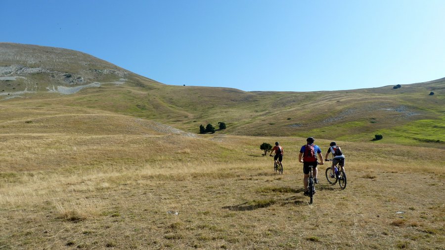 Contournement Est : On contourne la bergerie puisqu'on a plus le droit d'aller au col par le fond de vallon! Etrange quand même!