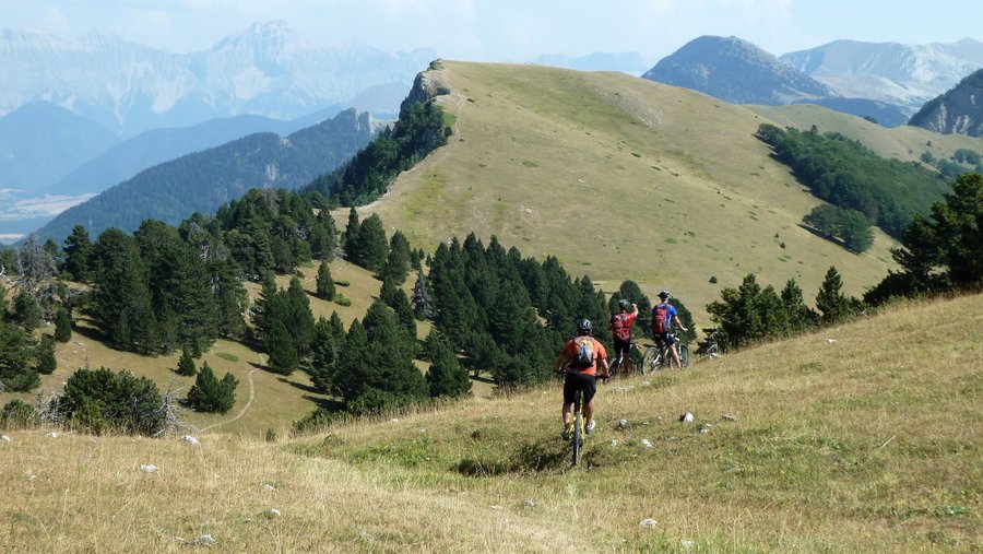 La tête de Praorzel : Alpage grillé au soleil