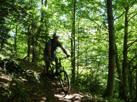 #17 Descente vers le Crêt : dans une belle forêt Descente vers le Crêt : dans une belle forêt