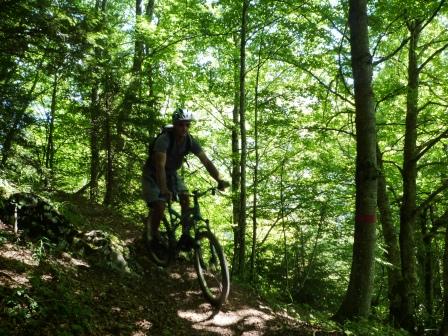 Descente vers le Crêt : dans une belle forêt