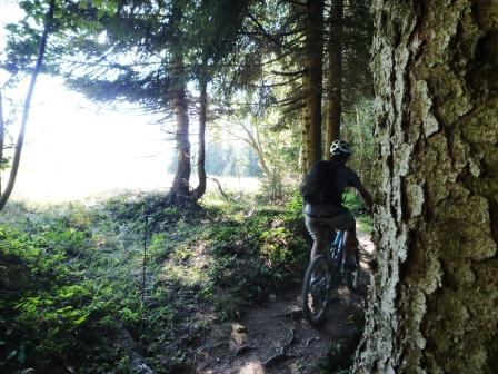 Descente du Danay : passage en bordure d'une clairière