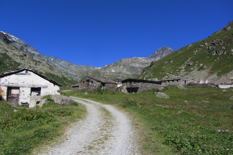 Grand'Alpe : Montée en direction du lago di San Grato