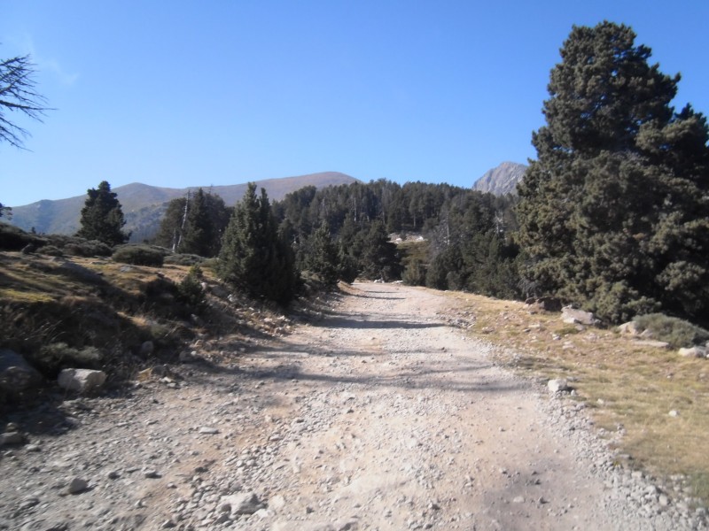 #12 Ras des Cortalets : L Ras des Cortalets : L'objectif droit devant.