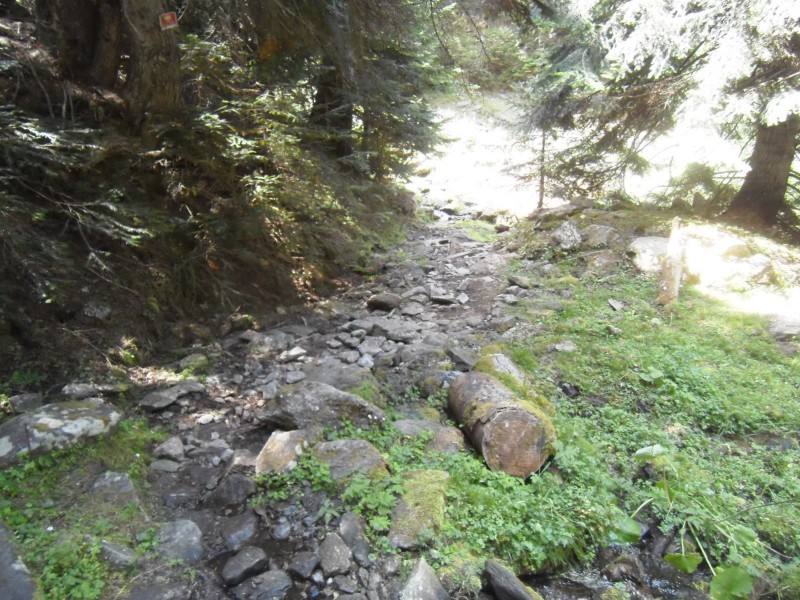#24 Fin du sentier : Le seul passage humide de la sortie. A pied parce ça glisse bien. Fin du sentier : Le seul passage humide de la sortie. A pied parce ça glisse bien.