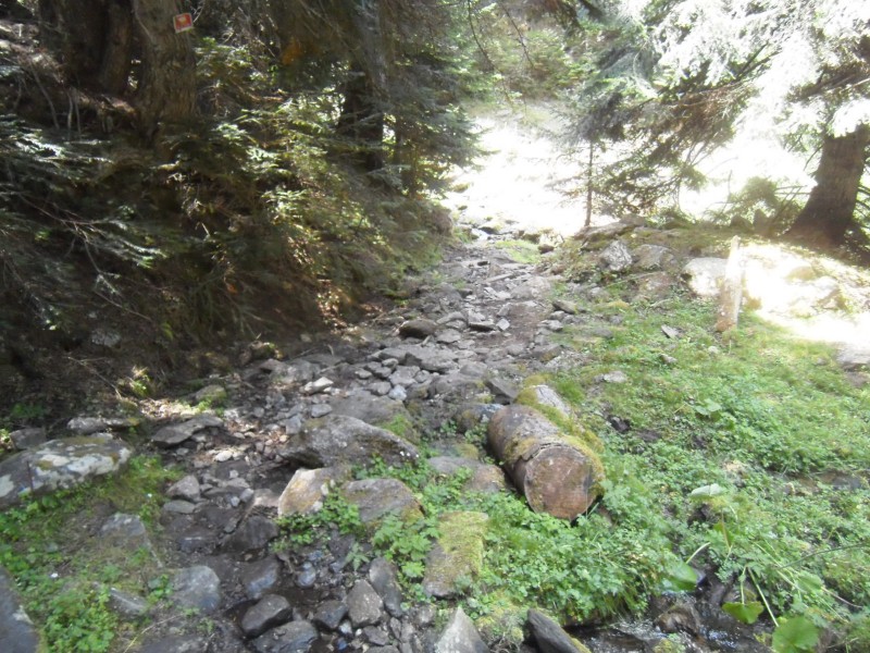 Fin du sentier : Le seul passage humide de la sortie. A pied parce ça glisse bien.