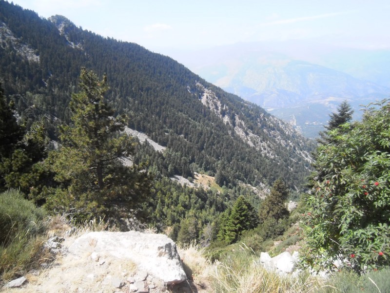 Col des Voltes : Le prochain sentier descend en face.